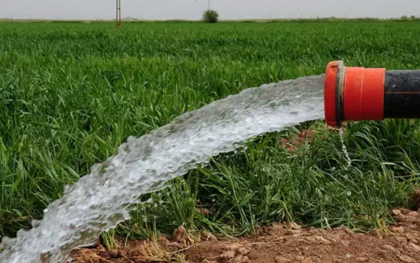 Çiftçiler bu haber sizi doğrudan ilgilendiriyor! Yüzde 50 müjdesi geldi! 4