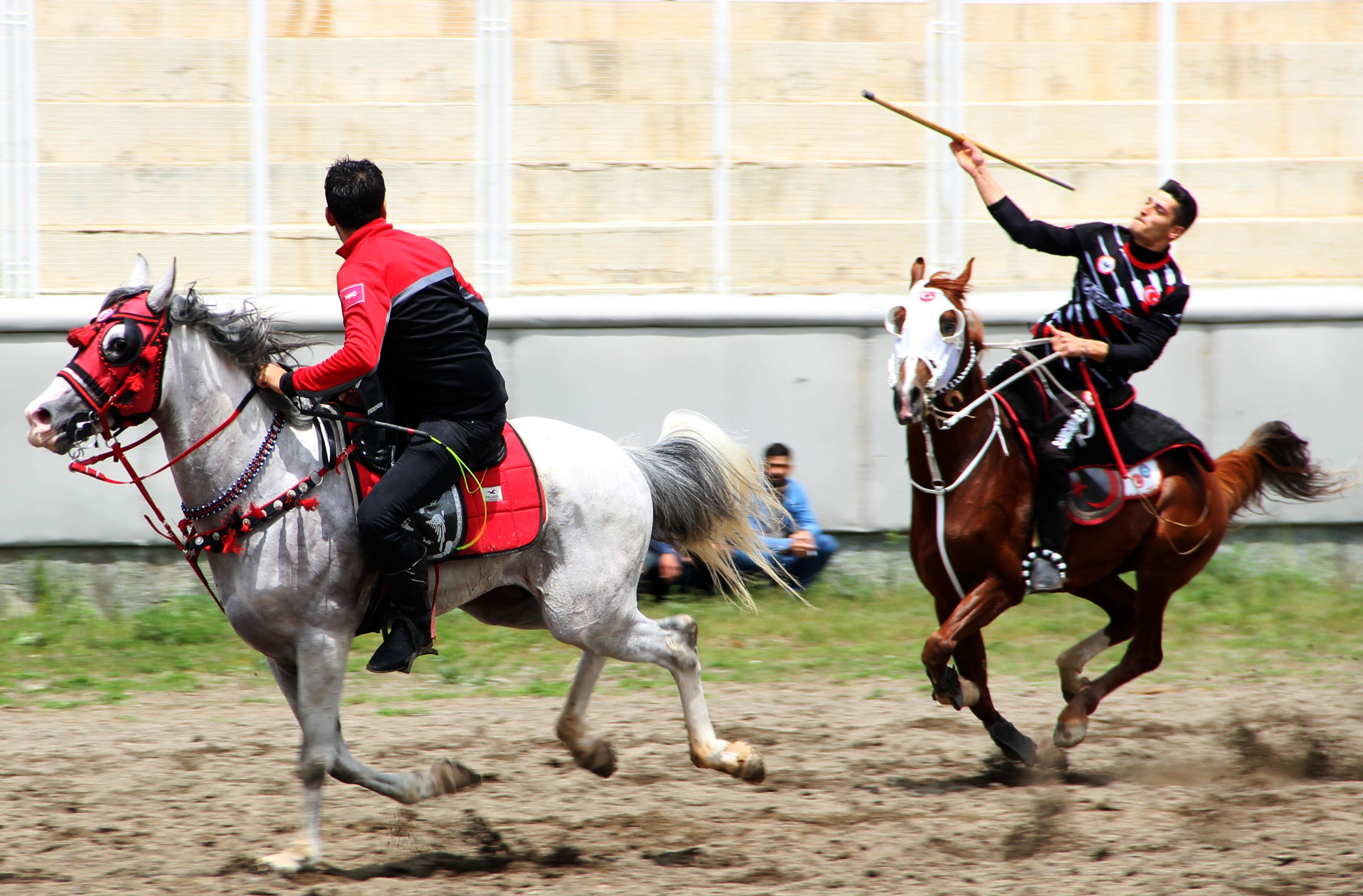 Erzurum'da ata sporu cirit heyecanı! 2