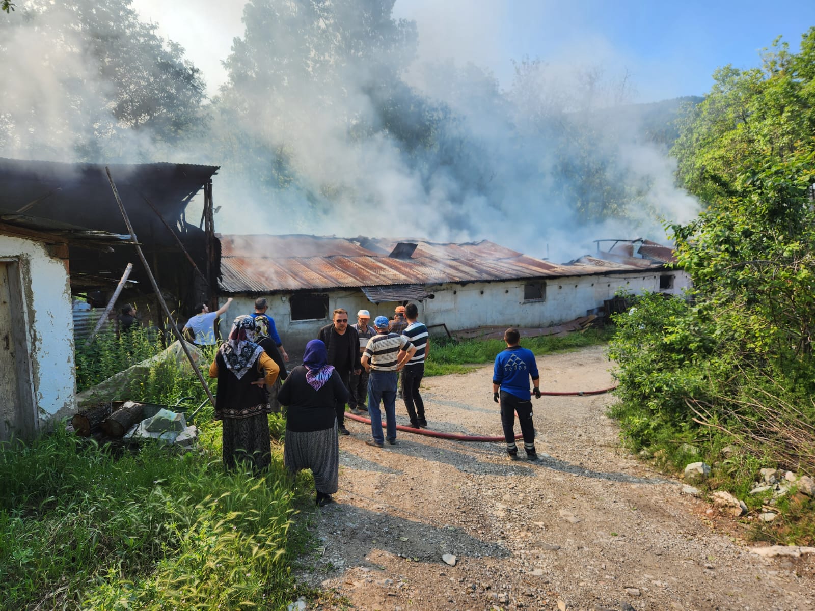 mudurnu yangın (2)