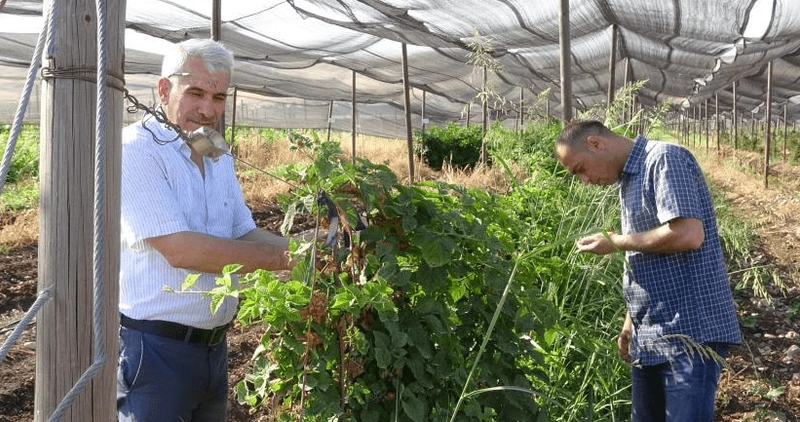 Aman dikkat! Çok tehlikeli-4