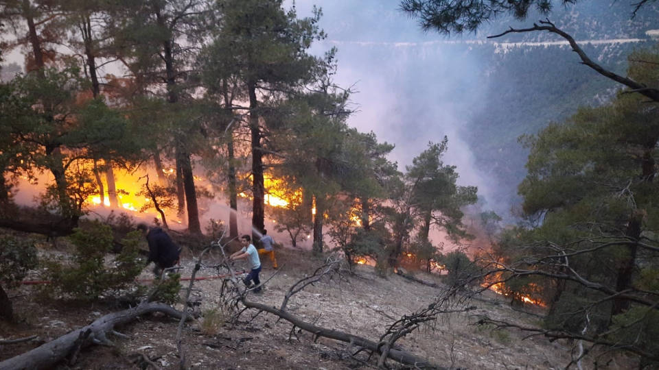 Bolu’da yıldırım düşmesi sonucu ormanlık alanda yangın çıktı! çıkan yangına müdahale ediliyor-2