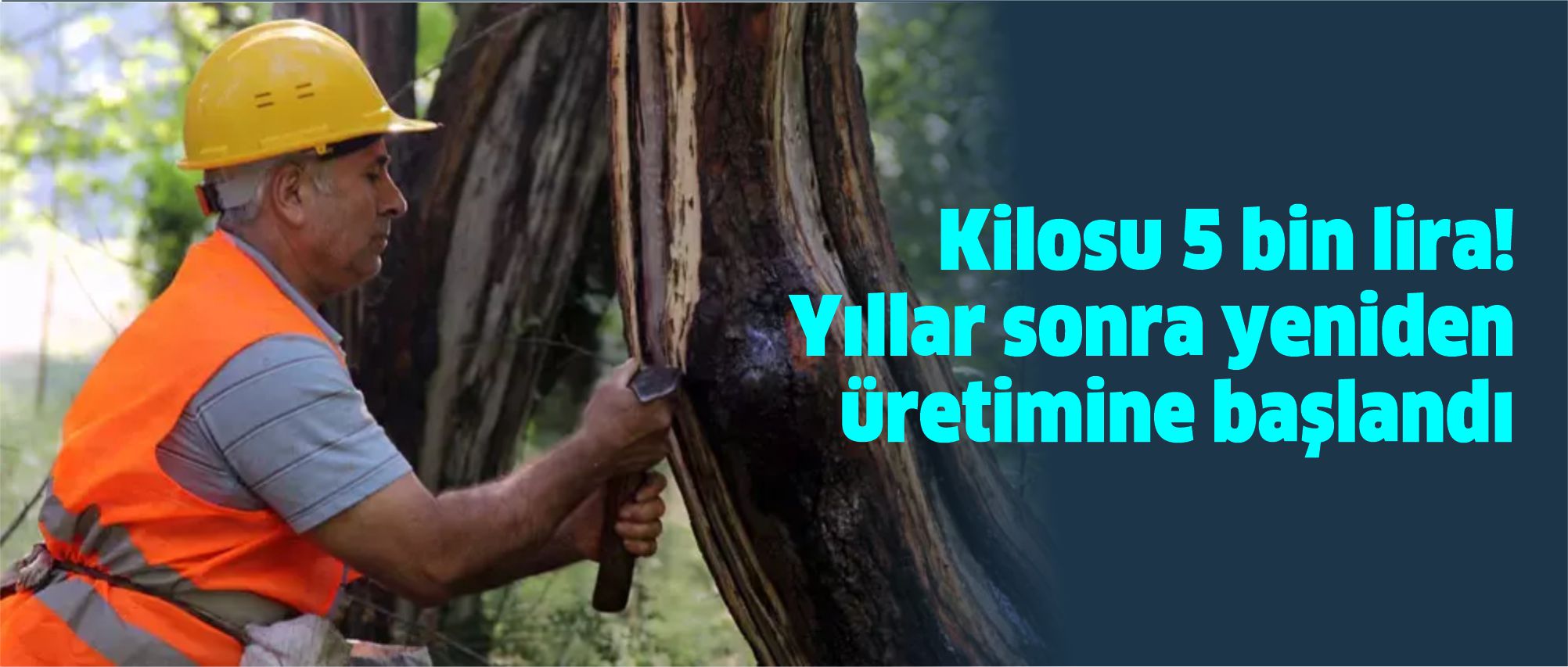 Kilosu 5 bin lira! Yıllar sonra yeniden üretimine başlandı-1