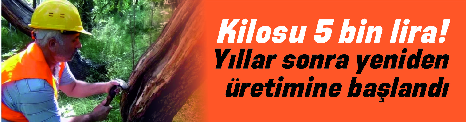 Kilosu 5 bin lira! Yıllar sonra yeniden üretimine başlandı-3