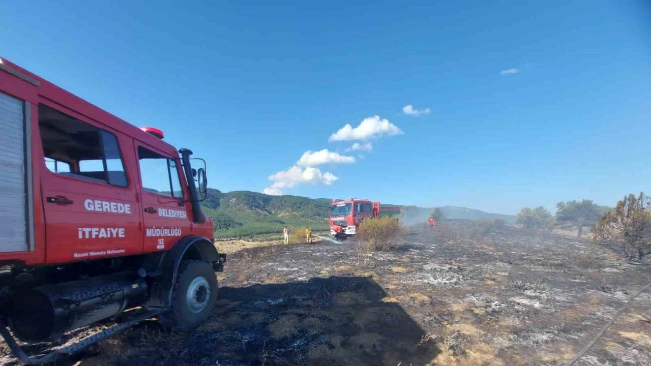 5 dönümlük otluk arazi küle döndü