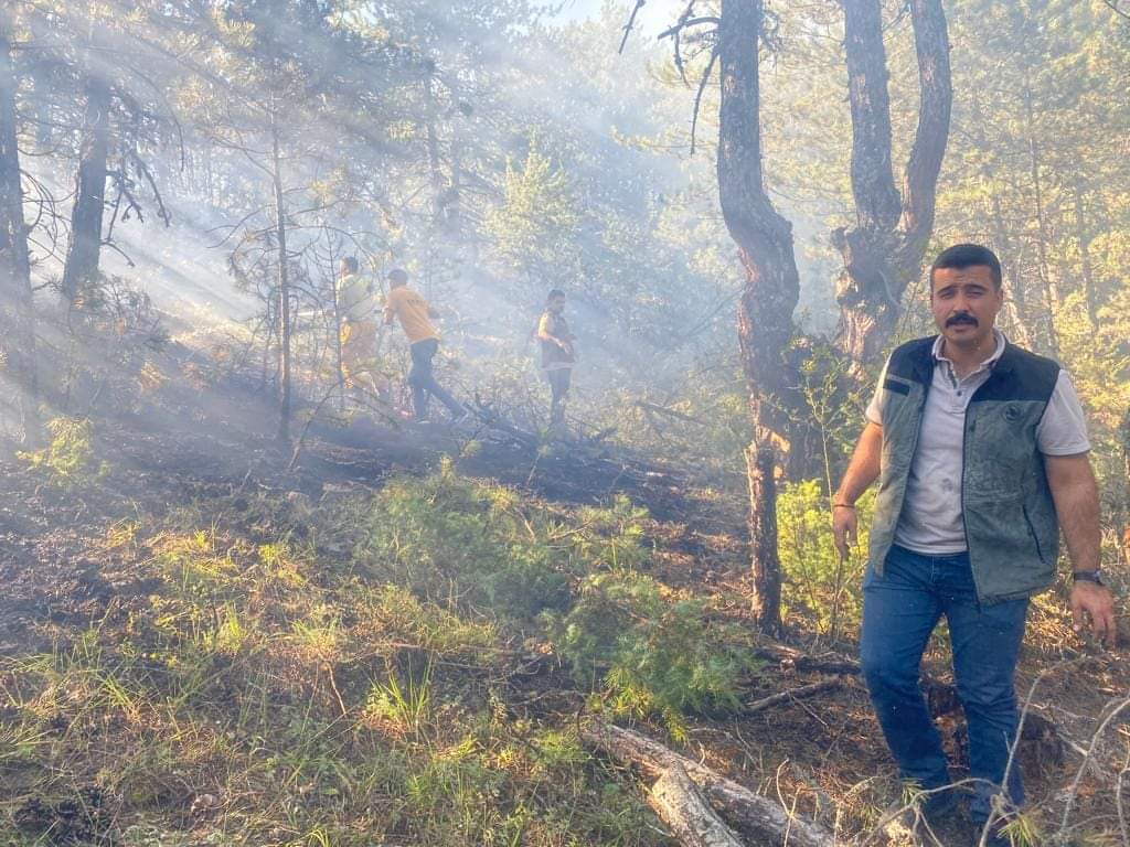 Mudurnu'da orman yangını! (4)