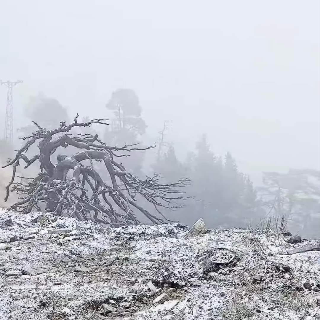 Bolu'ya Mevsimin ilk karı düştü! Kar kalınlığı 3 santimetreye ulaştı (2)