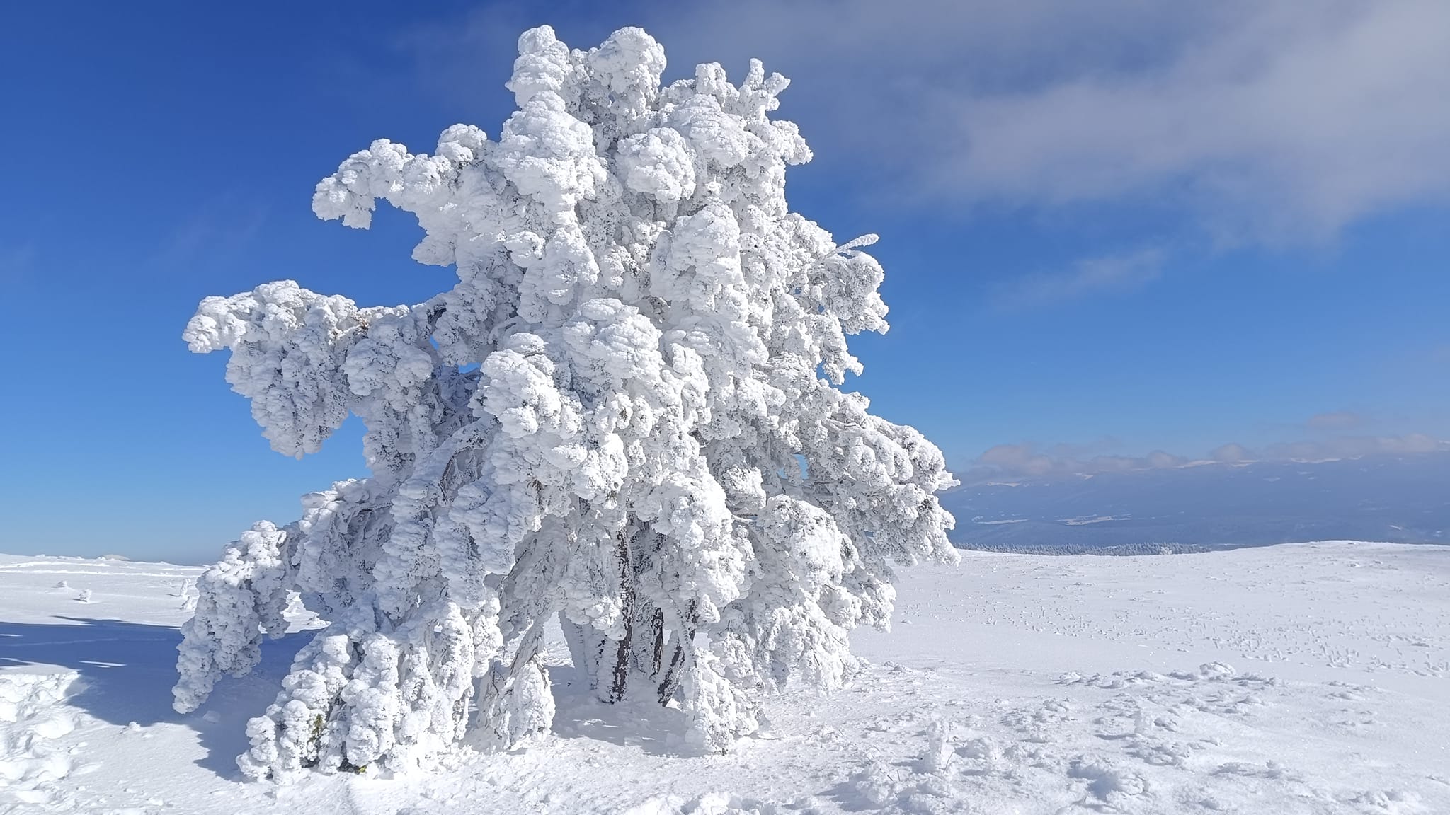 -15 derece soğukta 1830 rakımlı Arduç dağına tırmandılar