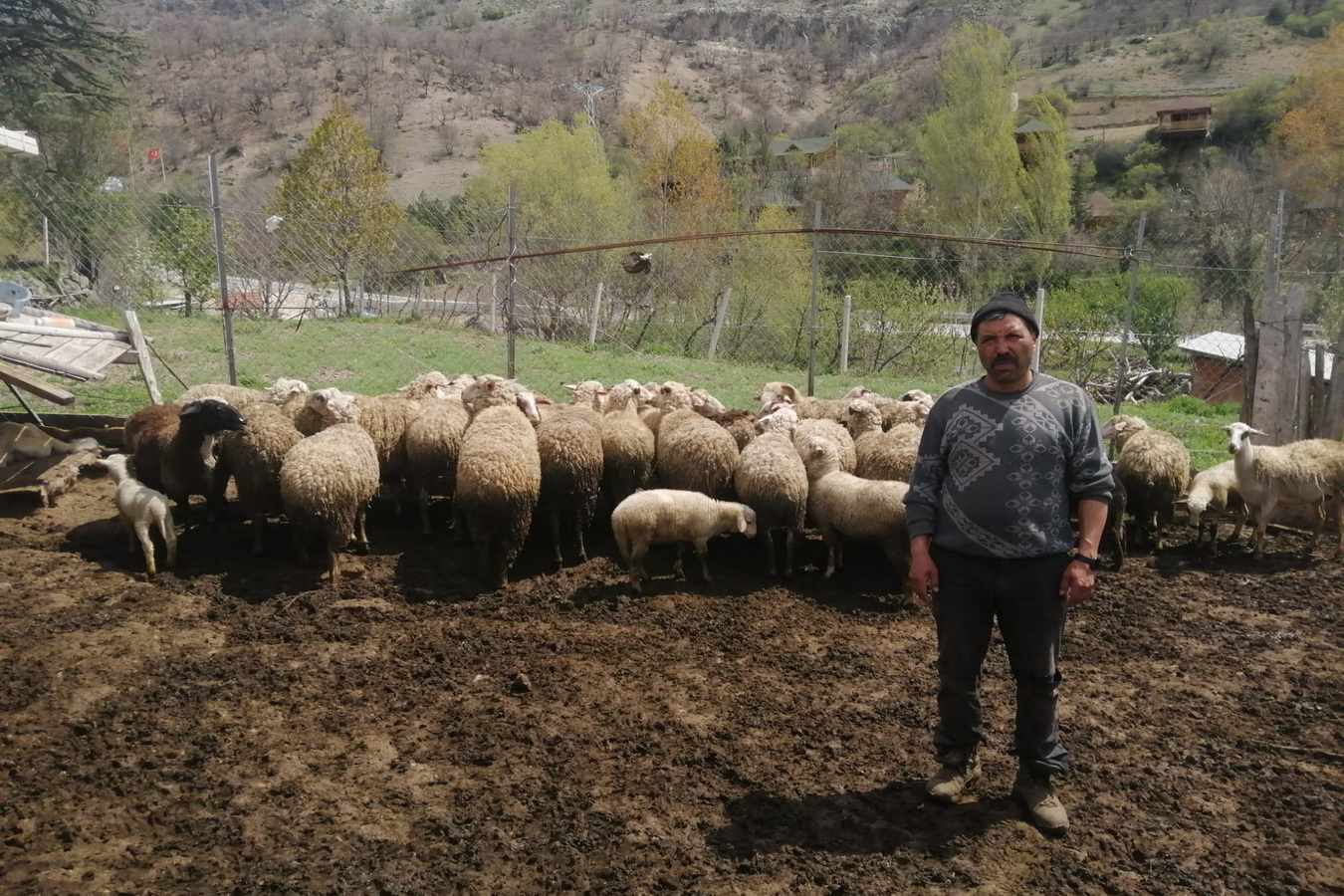 Bolu’da 28 Aileye Süt Üreticiliği Için 772 Bin Lirası Hibe 3 Milyon 857 Bin Lira Kredi (1)