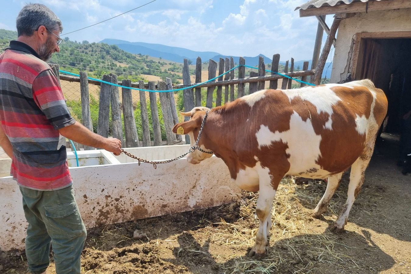 Bolu’da 28 Aileye Süt Üreticiliği Için 772 Bin Lirası Hibe 3 Milyon 857 Bin Lira Kredi (2)