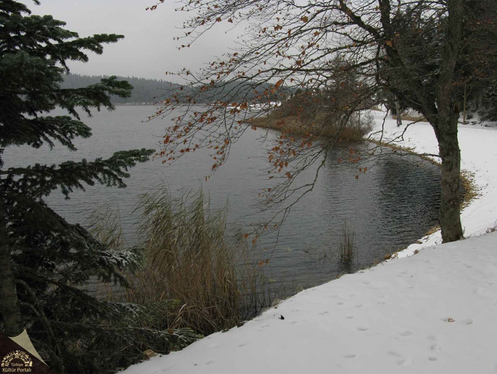 Bolu’nun İncisi Abant Gölü Tabiat Parkı Abant Gölü Nerededir (5)