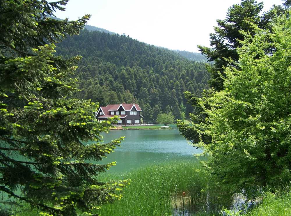 Eşsiz Güzelliği Ile Bolu Gölcük Tabiat Parkı Bolu’da Gezilecek Yerler (10)