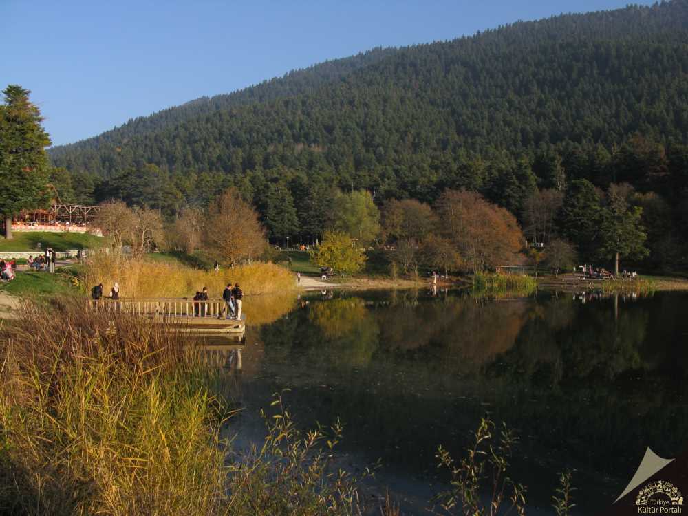 Eşsiz Güzelliği Ile Bolu Gölcük Tabiat Parkı Bolu’da Gezilecek Yerler (7)