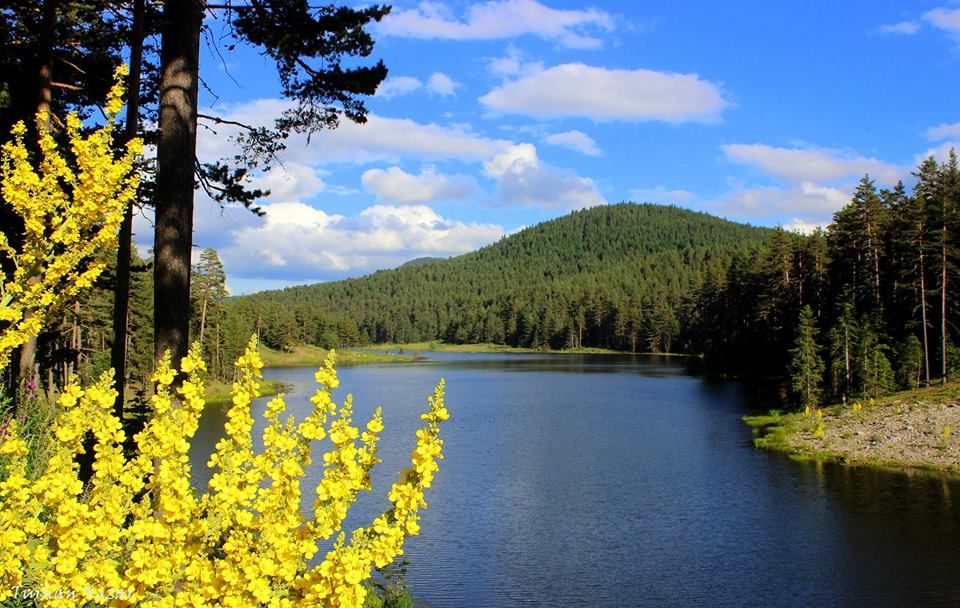 Bolu'nun Gözde Turizm Noktası Sarıalan Bölgesi (1)-1