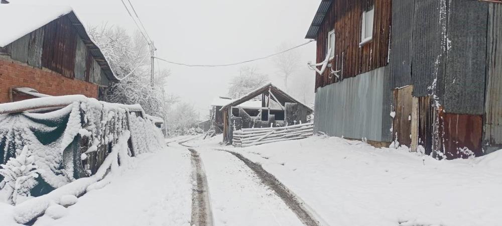 Bolu'nun Yüksek Kesimleri Beyaz Örtüyle Kaplandı Kar Kalınlığı 10 Santimetreye Ulaştı