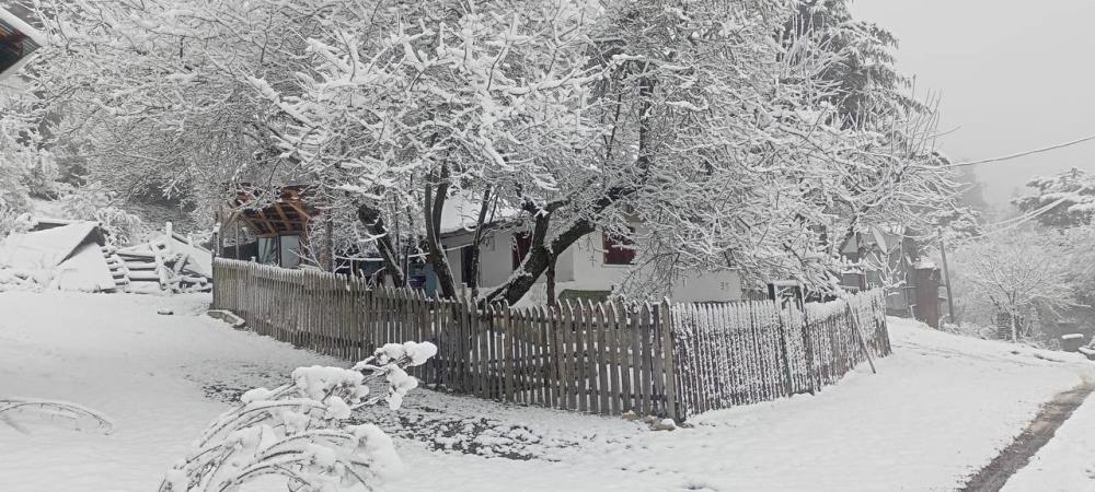 Bolu'nun Yüksek Kesimleri Beyaz Örtüyle Kaplandı Kar Kalınlığı 10 Santimetreye Ulaştı.jpg2