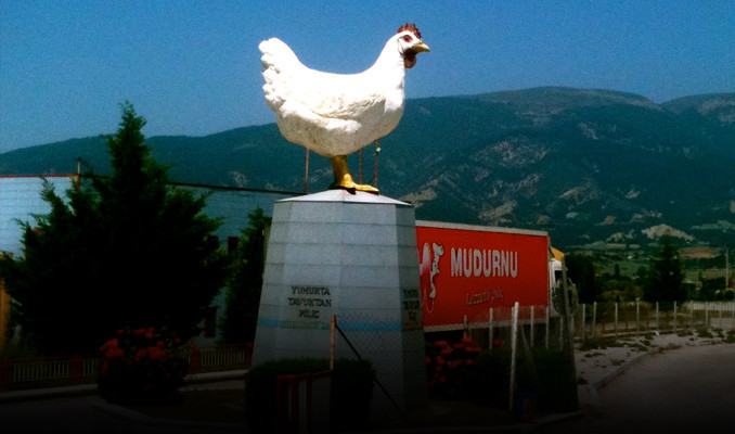 Mudurnu Piliç Bir Markanın Doğuşu Ve Logosunun Hikayesi-1