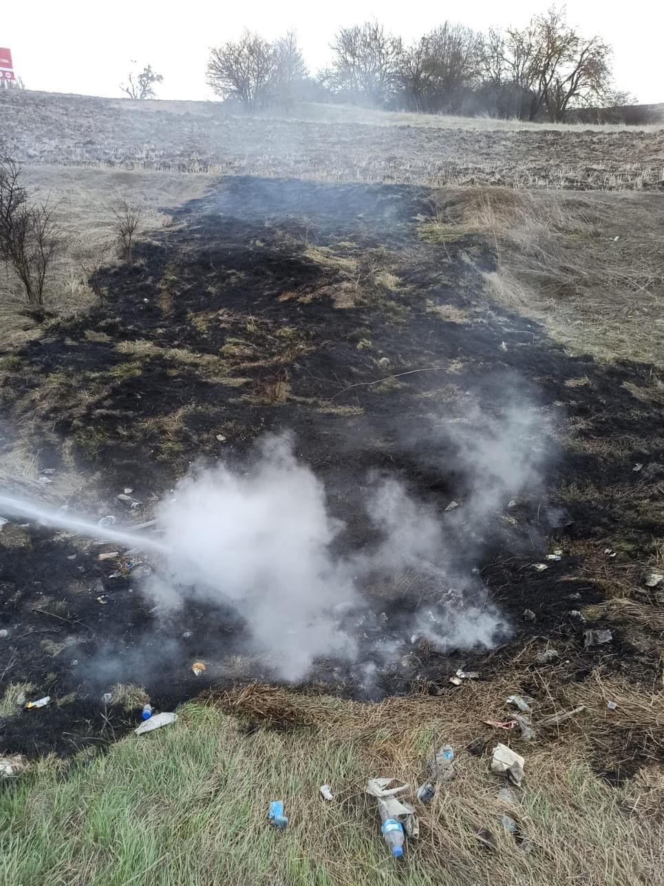 Bolu Yeniçağa'da Anız Yangını Paniği (5)