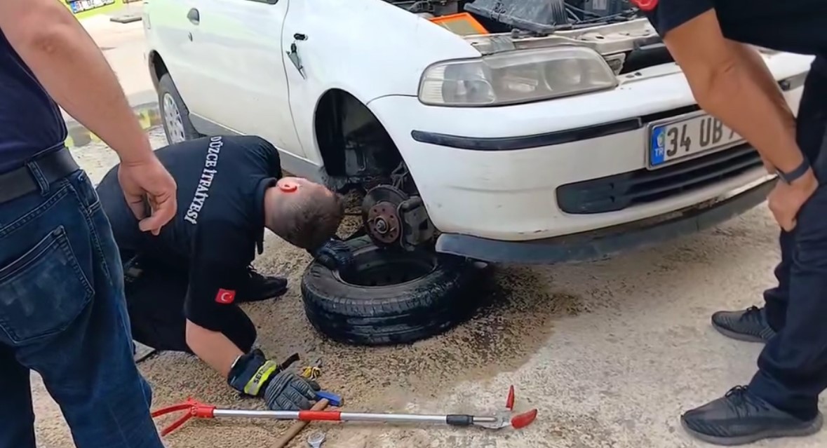 Otomobilin Motoruna Giren Yılan Teker Sökülerek Çıkarıldı (3)