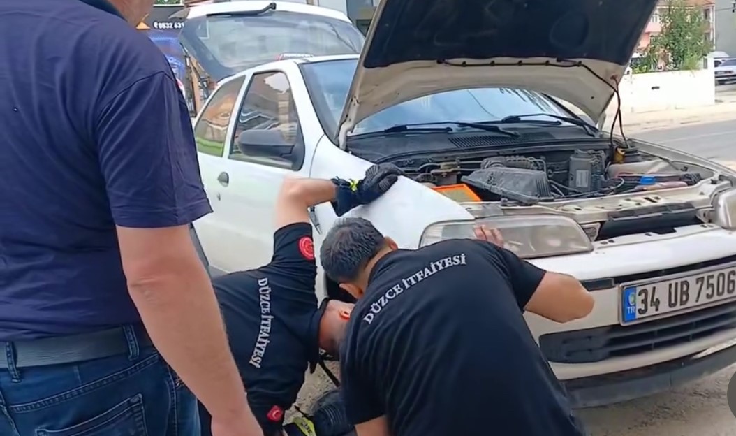 Otomobilin Motoruna Giren Yılan Teker Sökülerek Çıkarıldı (4)