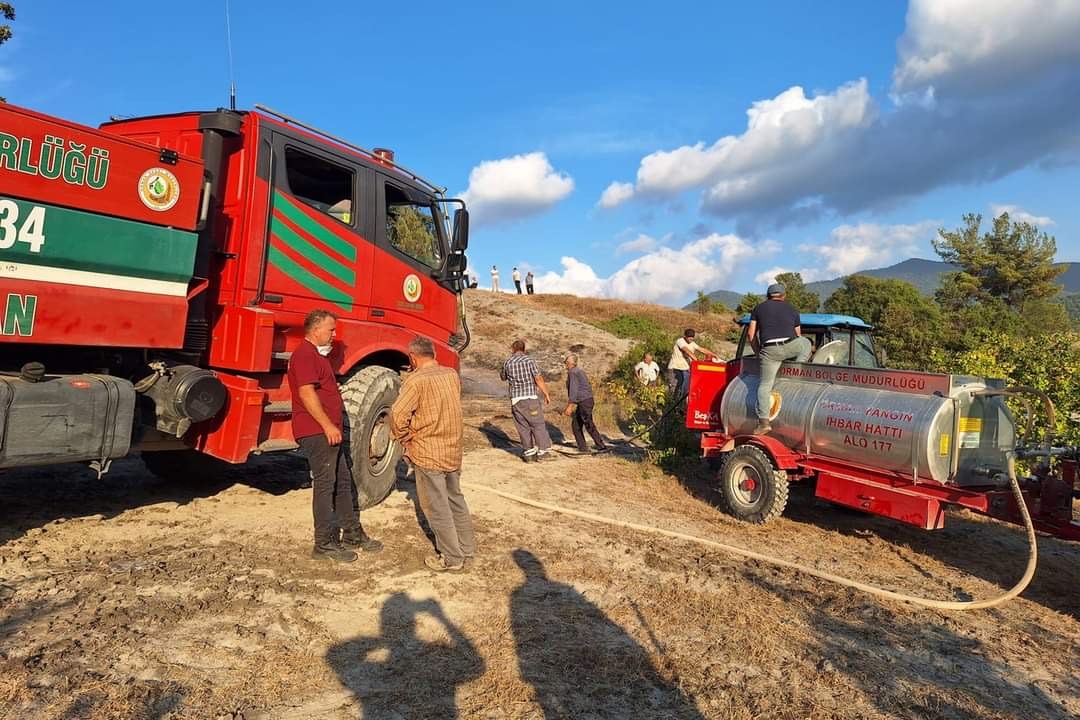 Bolu'da Çıkan Orman Yangını Çıktı (1)