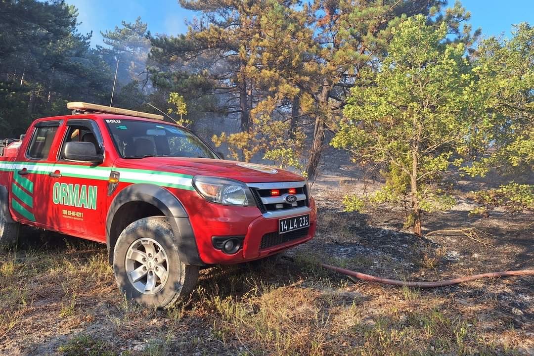 Bolu'da Çıkan Orman Yangını Çıktı (2)