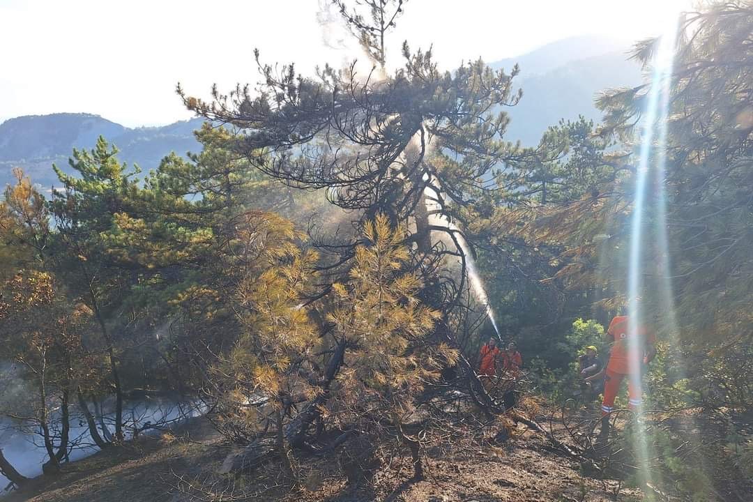 Bolu'da Çıkan Orman Yangını Çıktı (5)