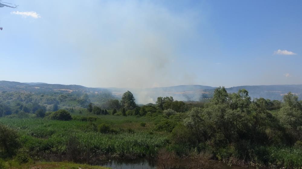 Sazlıkta Yangın Çıktı Havadan Müdahale Ediyor5