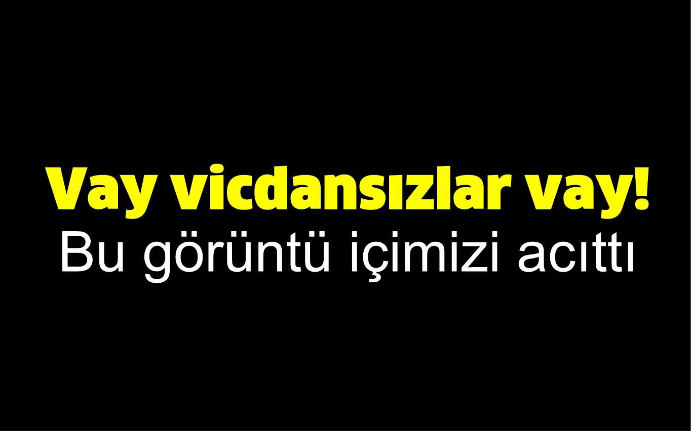 Vay Vicdansızlar Vay! Bu Görüntü Içimizi Acıttı (2)