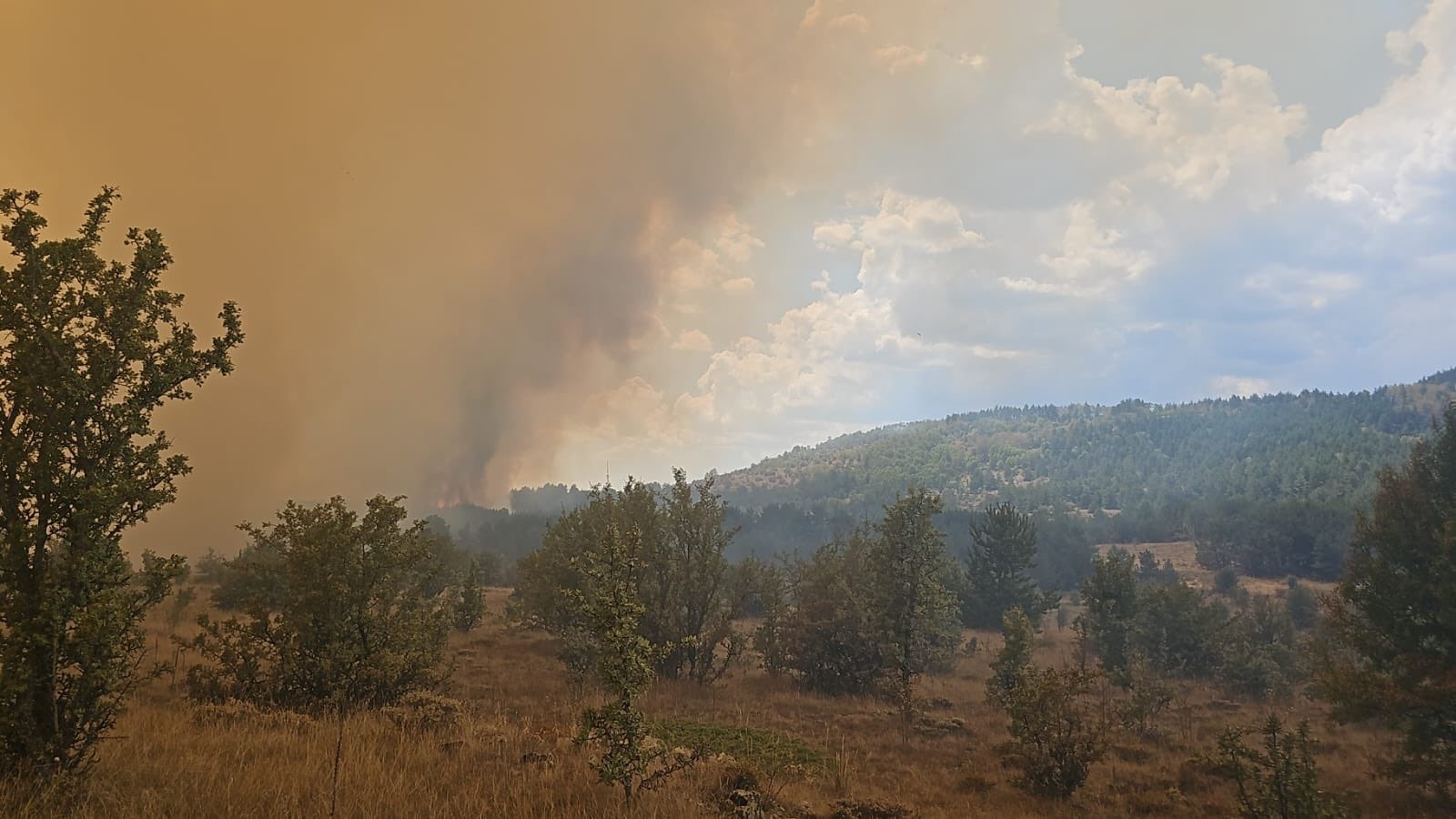 Ankara'da Başlayan Yangın Bolu'ya Sıçradı (1)