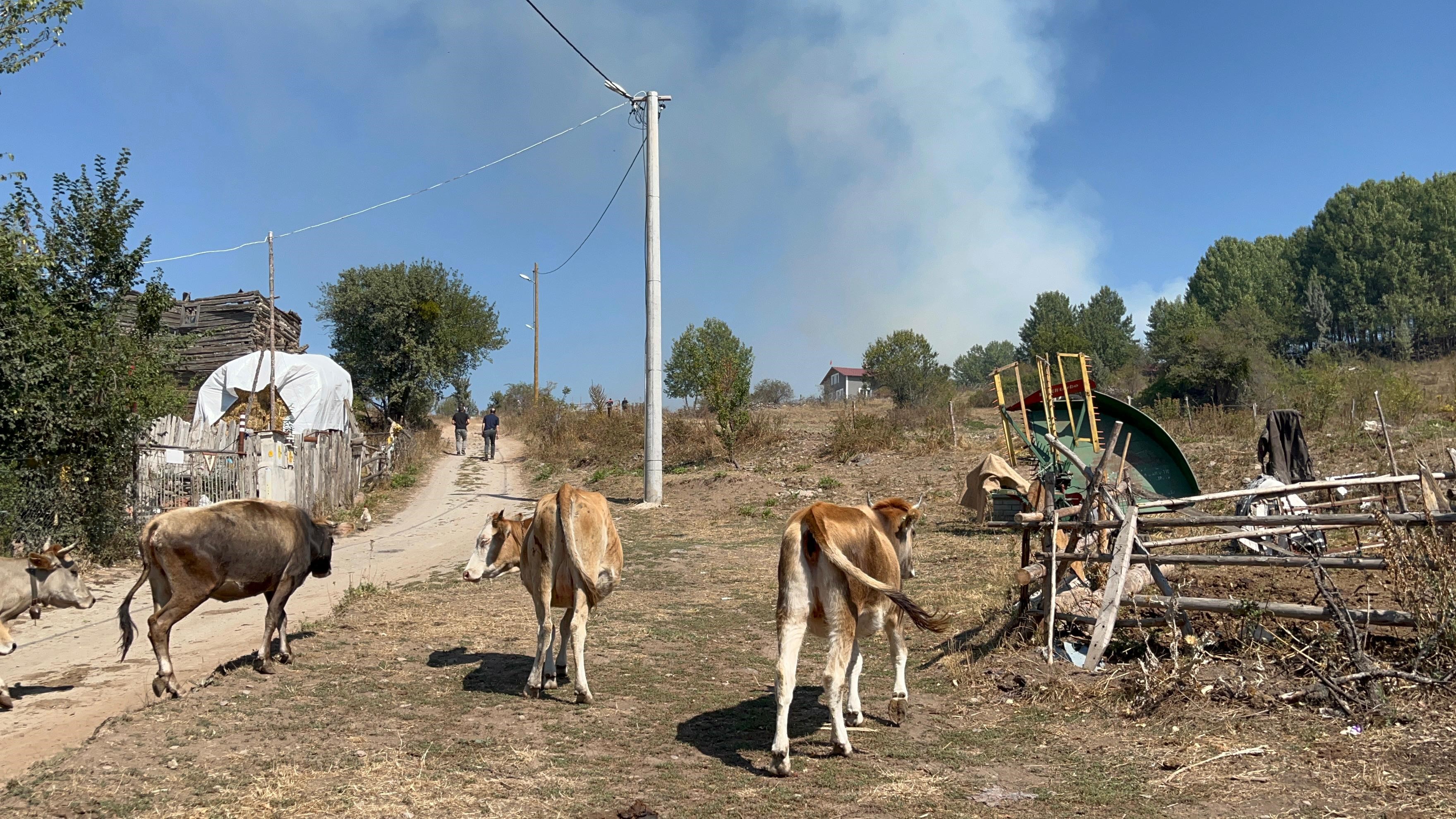 Gerede Yangını Ankara Hayyanlarını Böyle Kaçırdışar (6)