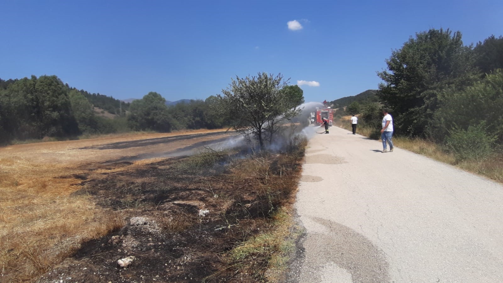 Mudurnu Anız Yangını Doğan Onurlu Yangın Söndürdü (3)