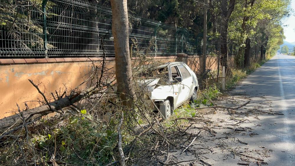 Otomobilin Çarptığı Ağaç Üzerine Devrildi, Yangın Çıktı 1 Yaralı-1