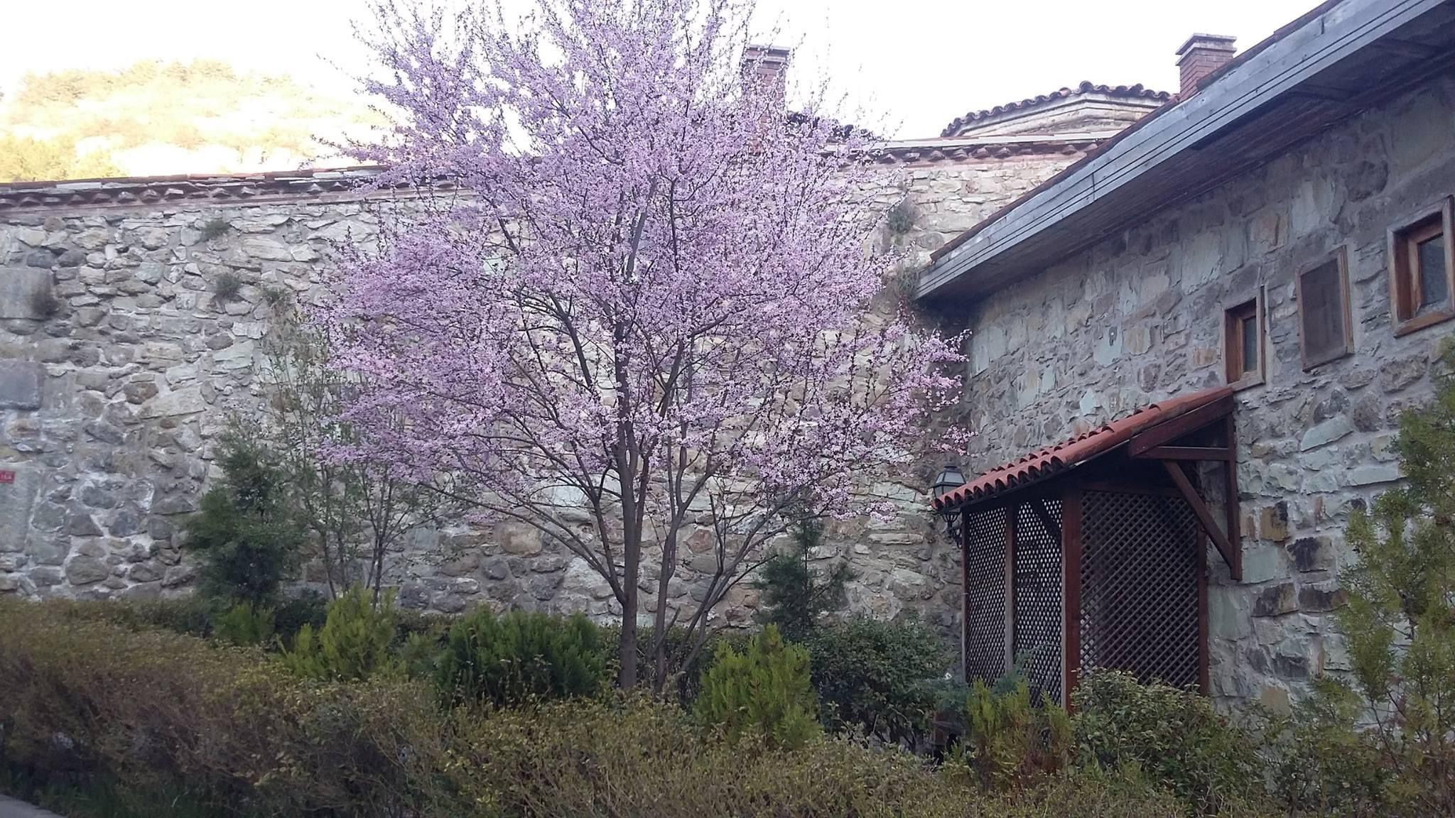 Beş Yıl Sonra Bacalardan Dumanlar Yükseliyor (11)