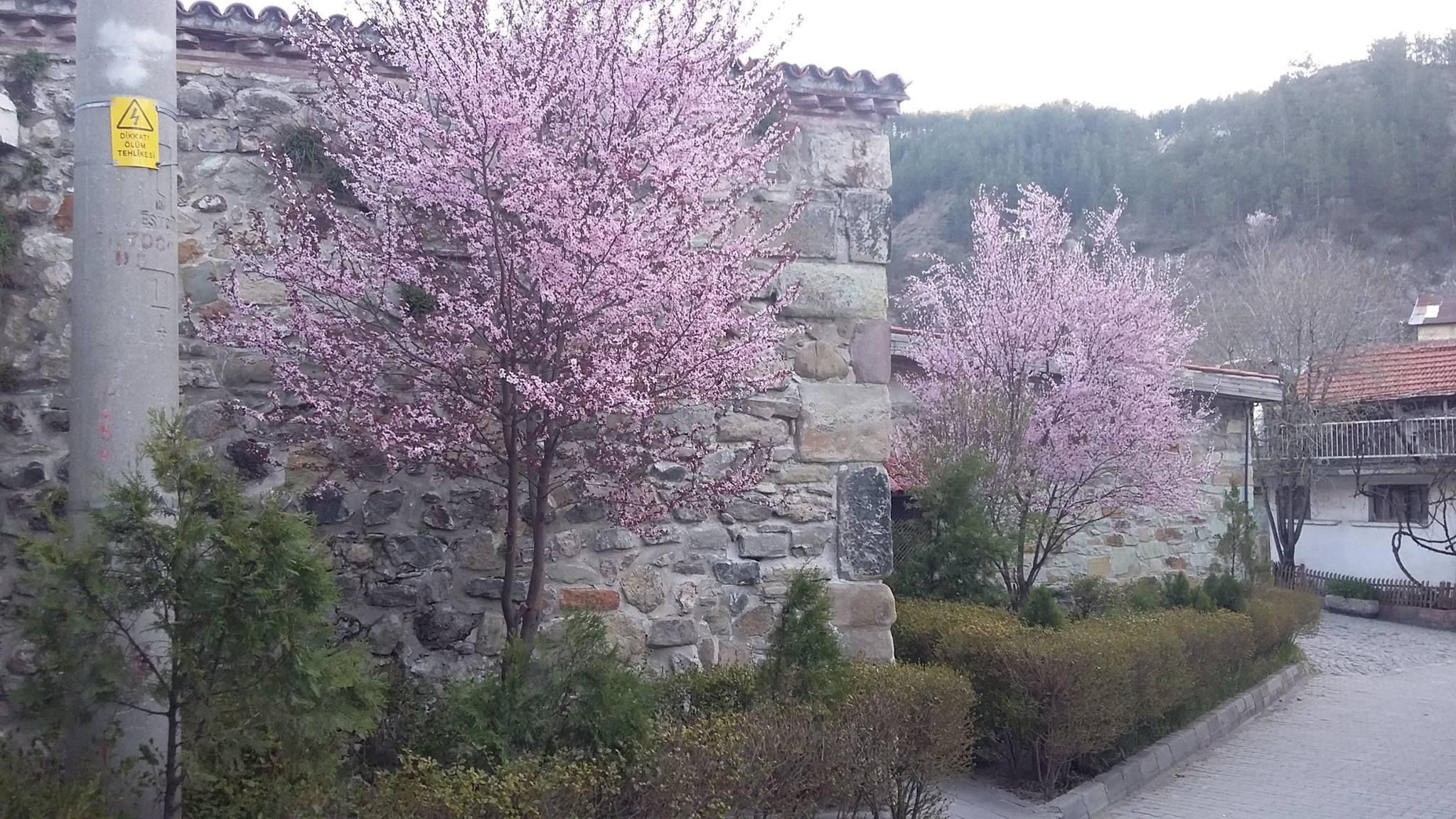 Beş Yıl Sonra Bacalardan Dumanlar Yükseliyor (8)