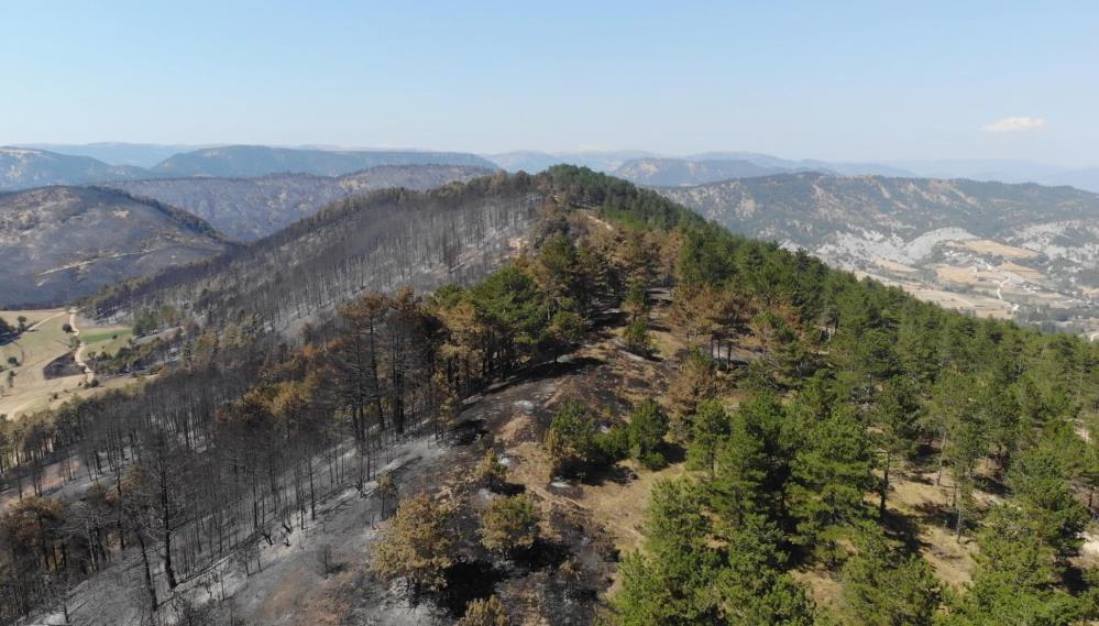 Bolu Tarihinin En Büyük Yangınının Yaraları Sarılıyor