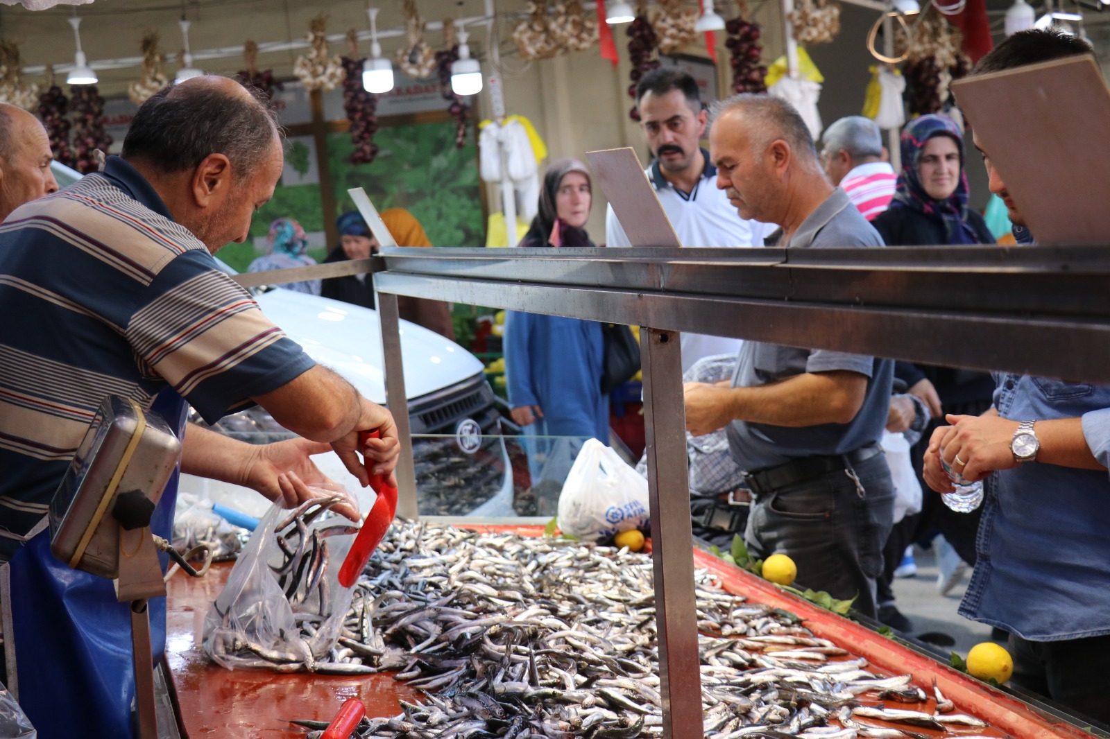 Boluda Hamsi̇ni̇n Fi̇yati 50 Li̇ra Düştü (2)