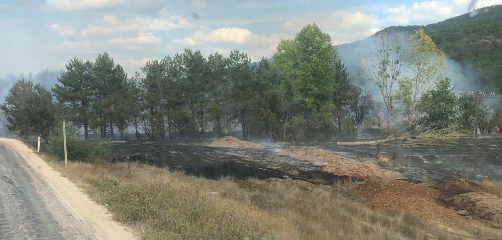 Bolu'da Orman Yangını Çıktı