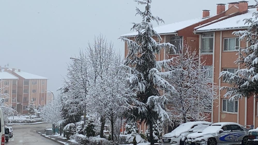 Bolu Kar Yağoşı (2)