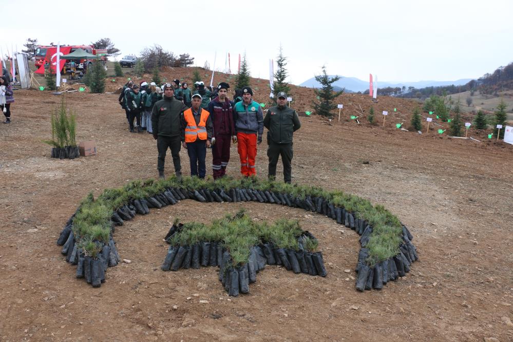 Bolu’da 30 Bin Fidanla Yangınların Yaraları Sarılıyor6