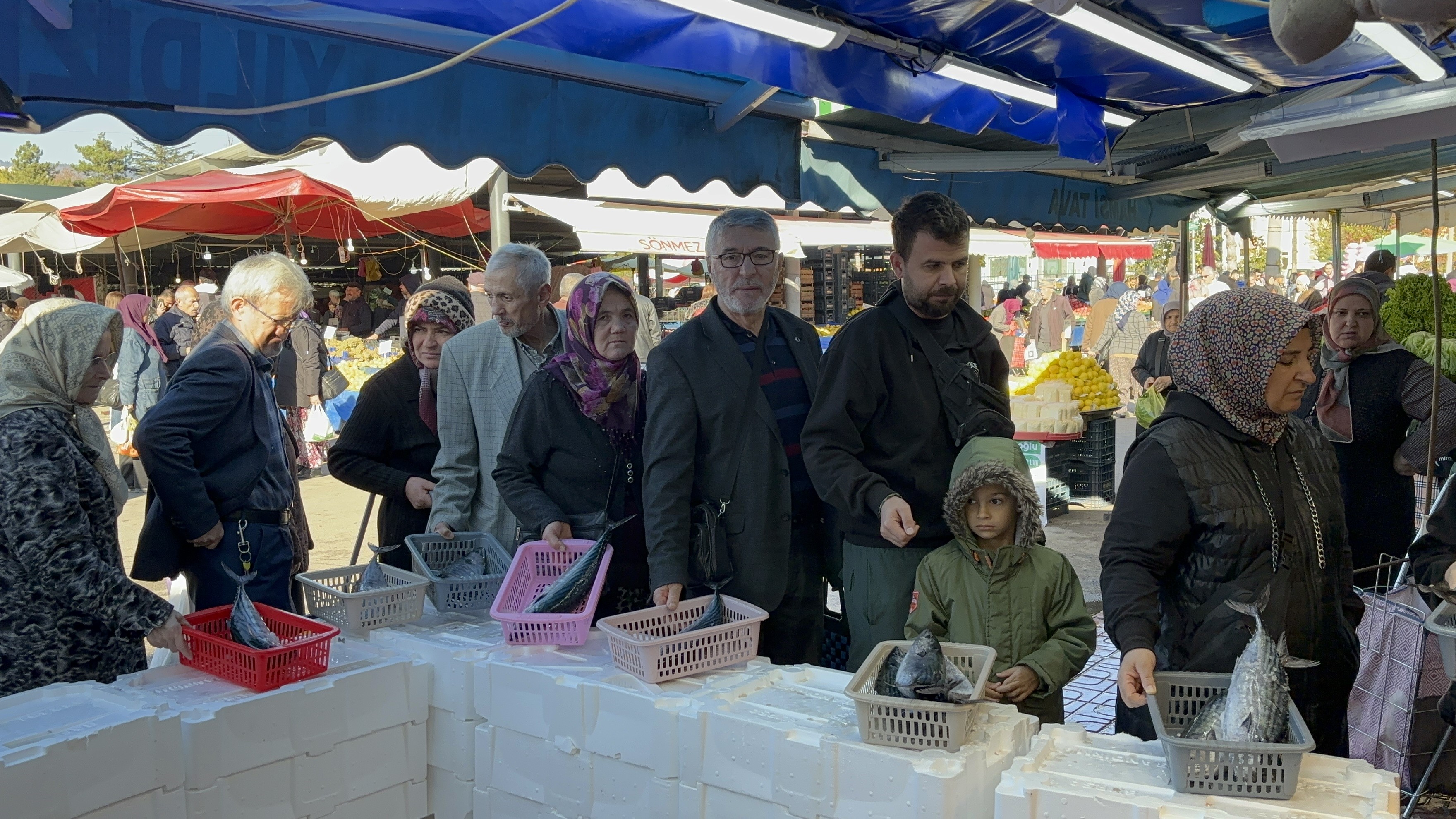 Boluda Balık Yok Sattı (3)