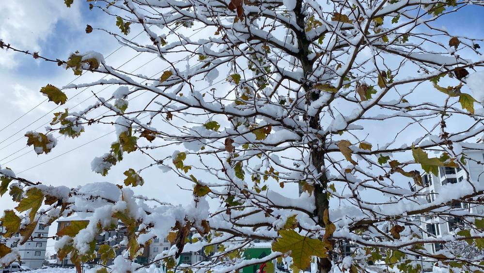 Bolu'da Kar Kalınlığı 30 Santimetreye Ulaştı7