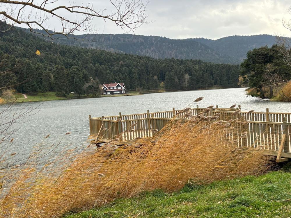 Bolu'da Kuvvetli Rüzgar Etkili Oluyor2