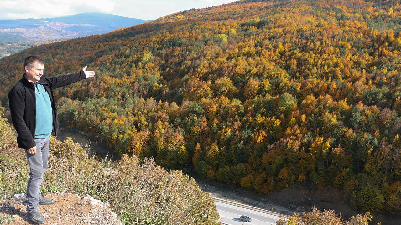 Bolu'nun Yükseklerinde Renk Cümbüşü (1)