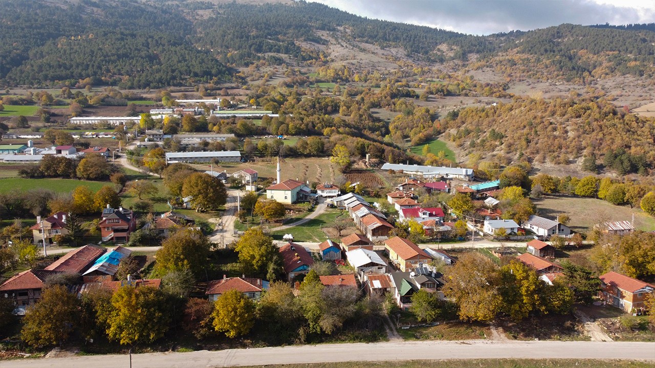 Bolu'nun Yükseklerinde Renk Cümbüşü (7)