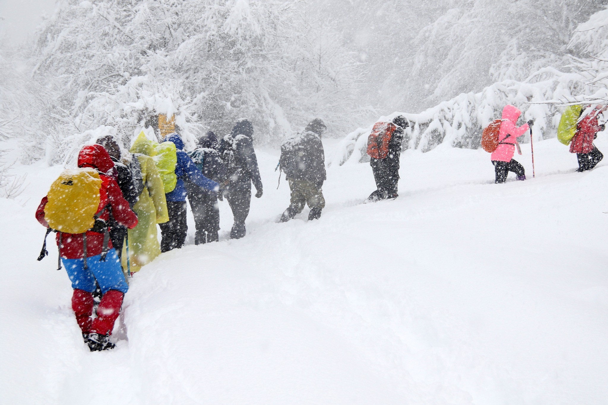 Doğaseverler 70 Santimetre Karda 9 Kilometre Yürüdü (5)