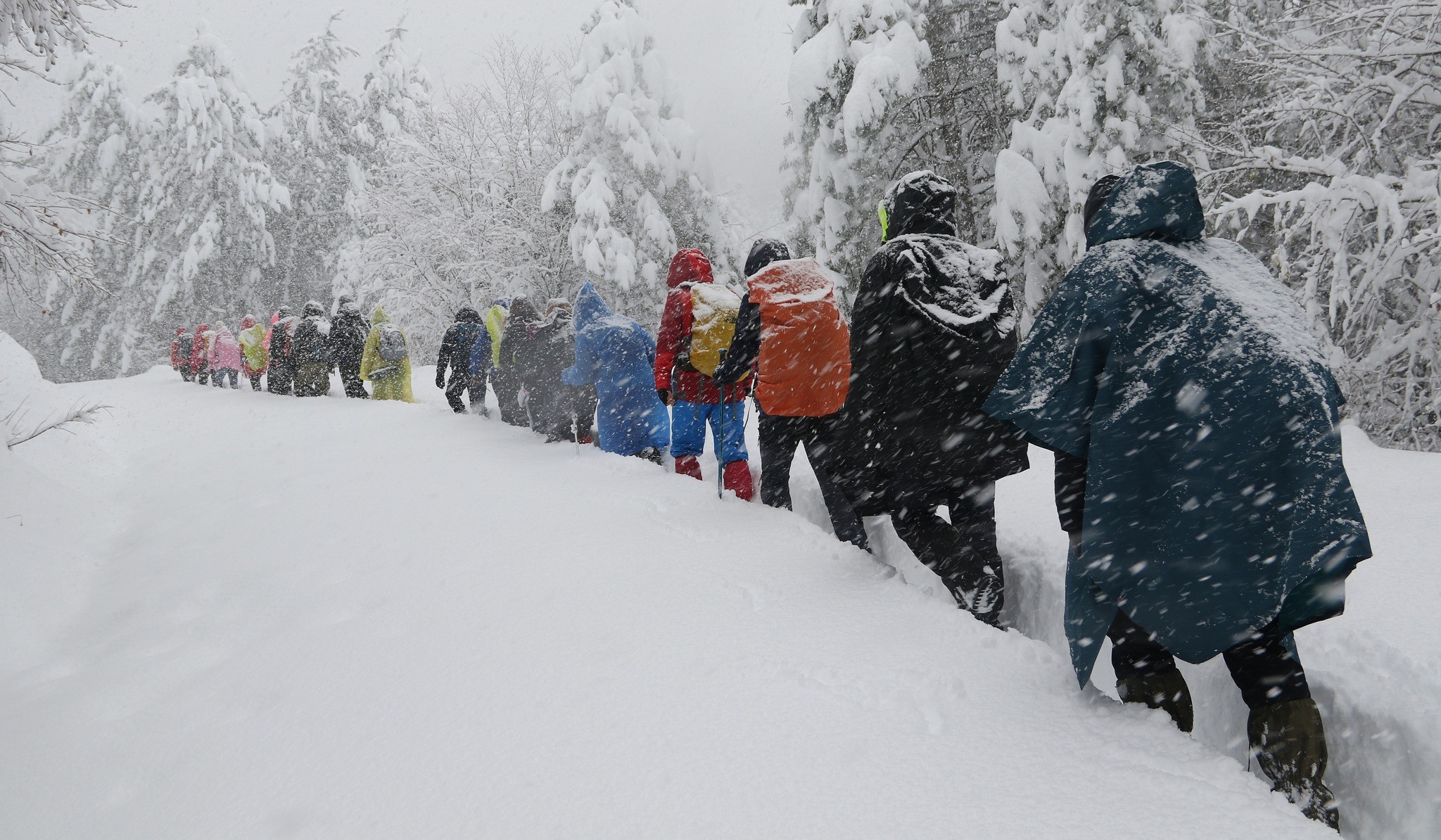 Doğaseverler 70 Santimetre Karda 9 Kilometre Yürüdü (6)