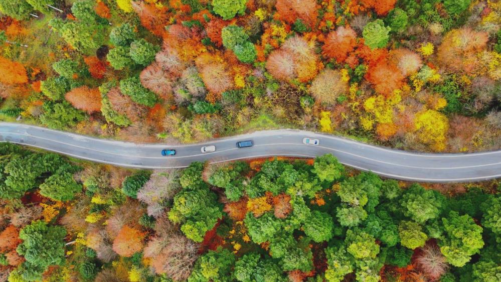 Gölcük Tabiat Parkı'nda Mest Eden Sonbahar Görüntüsü3