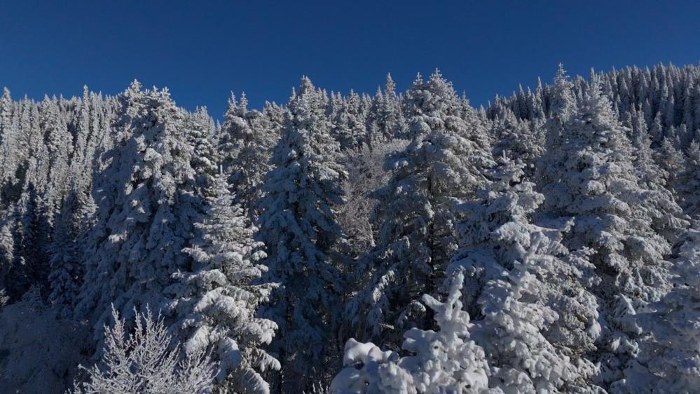 Bolu’nun Dağlarında Eşsiz Manzara3