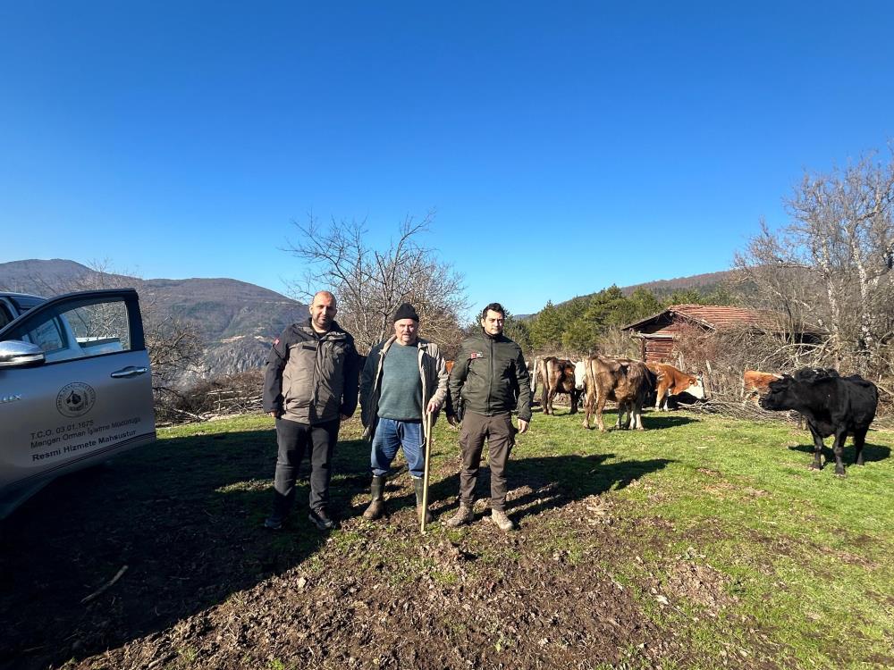 Bolu’da 4 Gündür Kayıp Olan Büyükbaş Hayvanlar Dronla Bulundu