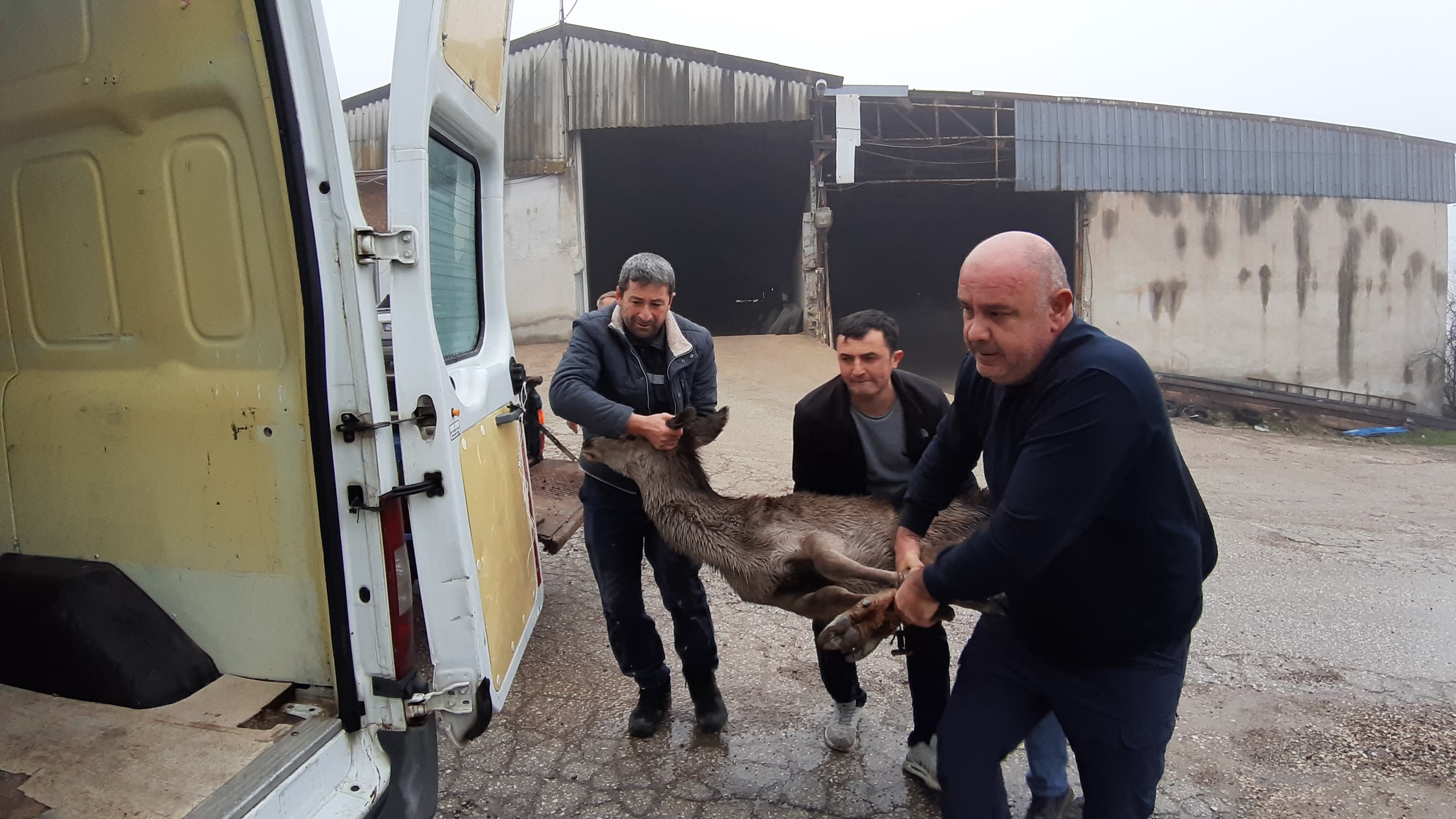 Bolu’da Karaca Seferberliği (1)-1